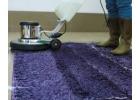 Hire Specialised Rug Cleaning Service Providers in Perth