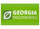 Georgia Tree Solutions Group LLC