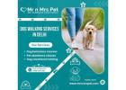 Are You Looking For Dog Walking Services in Delhi