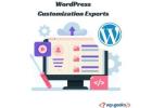 Hire the Best WordPress Customization Experts