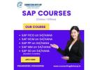 Could Joining Pune's Best SAP Training Institute Be a Game-Changer?