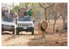  Reserve Gir National Park Safari Booking for Memorable Adventure