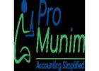 Small Business Accountant - ProMunim