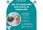 Best Dog Hostel in Bangalore