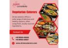 Best Vegetarian Caterers in Bangalore|Caterers in Bangalore