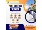 Expert Rodent Control in Bhubaneswar – Keep Your Home Safe