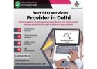 Best SEO services provider in Delhi - Shadow Infosystem