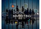  How To Choose The Best Digital Marketing Consultant For 2024