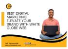 Take Charge of Your Online Success at White Globe Web.