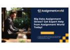 Big Data Assignment Stress? Get Expert Help from Assignment World Today!