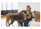 How Dogs Boost Mental Health | Benefits of Canine Companionship