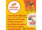 Grab 50% Off Your First cPanel Hosting Purchase - WILD WEB HOSTI