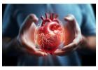 heart specialist in Faridabad