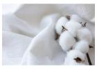 Trusted Organic Cotton Suppliers for High-Quality, Eco-Friendly Fabrics