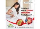 Ayurvedic Solution for Kidney Problem 