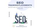 SEO Training/ Placements