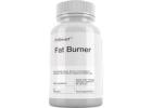 FitSmart Fat Burner: The Ultimate Guide to Weight Loss Support