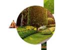 Landscape Designers Syracuse NY