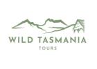 Tasmania 4 Day Itinerary: Explore the Best of the Island