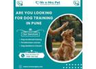 Are You Looking For Dog Training in Pune