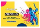 Experience Cricplus Betting with Live Updates