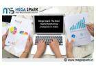 Mega Spark The Digital marketing company in India With The Best Results