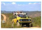 Get Gir National Park Jeep Safari Booking for Lush Forest 