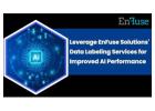 Choose Data Labeling Services from EnFuse for Improved AI Performance