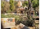 Book Kankai Temple Safari for Memorable Experience 