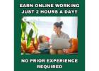 Work from Home Made Easy: Earn 100% Profit with Zero Tech Skills!