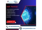 SAP Partner in India