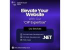 Reliable Outsource C# .Net Development Services – Expert Solutions for Your Business