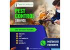  Professional Rodent Control in Bhubaneswar