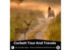 Corbett Tour And Travels