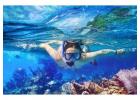 Scuba Diving Dominican republic | Sofunrdtours.com