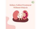 Kidney Problem Medication: A Guide to Treat Kidney Diseases without Dialysis- Bharat Homeopathy