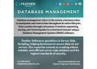 Database management 