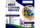 Effective Mosquito Treatment in Bhubaneswar – Bharat Pest Control