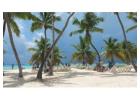 Saona Island Tour From Bayahibe | Vipexcursiones.com