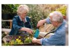  Gardening for Recovery | Benefits for Addicts in Treatment