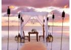 Best Key West Wedding Planner