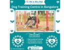 Professional Dog Training Centre in Bangalore