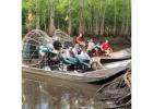 Why Alligator Tours Orlando Are a Must-Do Activity for Nature Lovers