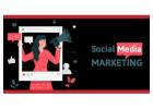 Invoidea Is leading Social Media Marketing Company in Delhi