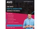 Digital Marketing Agency in Essex | AVOAgency.co.uk