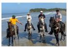 Explore Nature with Cartagena ATV Adventures