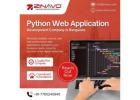 Python web application development company