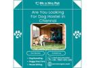 Best Dog Hostel in Chennai at Affordable Price