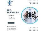 Grow Your Business with SEO Services in Delhi