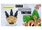 Best Quality Chaga Mushroom Tincture